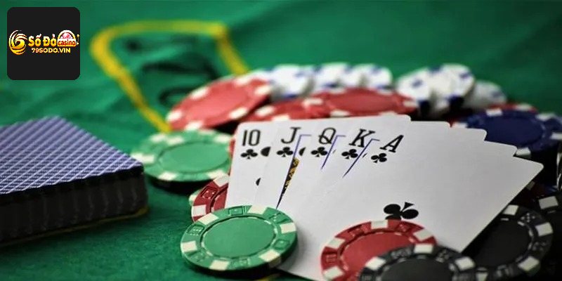Bí kíp cá cược xì tố thắng lớn