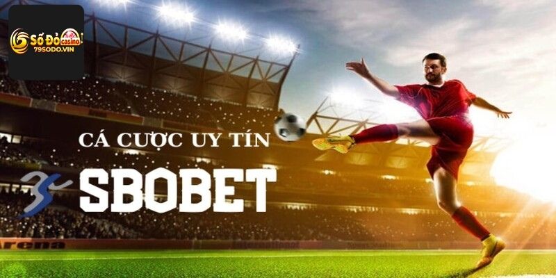 Sảnh SBOBET nhiều kèo thơm