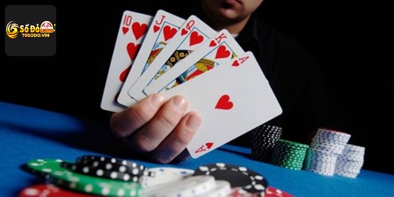 Tới trắng với 13 lá cùng màu